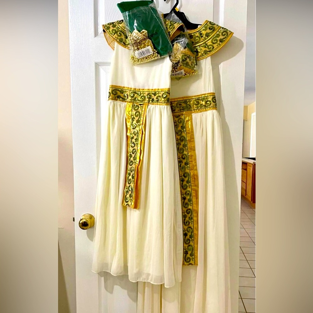 Mommy & Me Roman Greek Goddess Costumes/dresses Women’s Small & girl’s med.